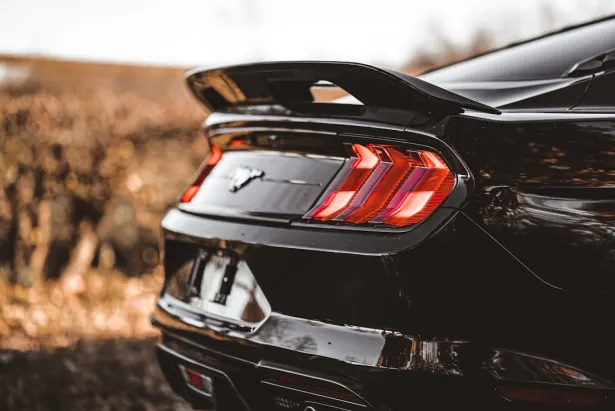 1Bet Casino Application Android/iOS